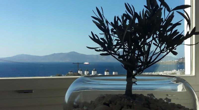 Ilio Maris Hotel Mykonos Town Exterior foto